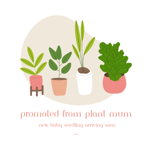 Promoted from Plant Mum!